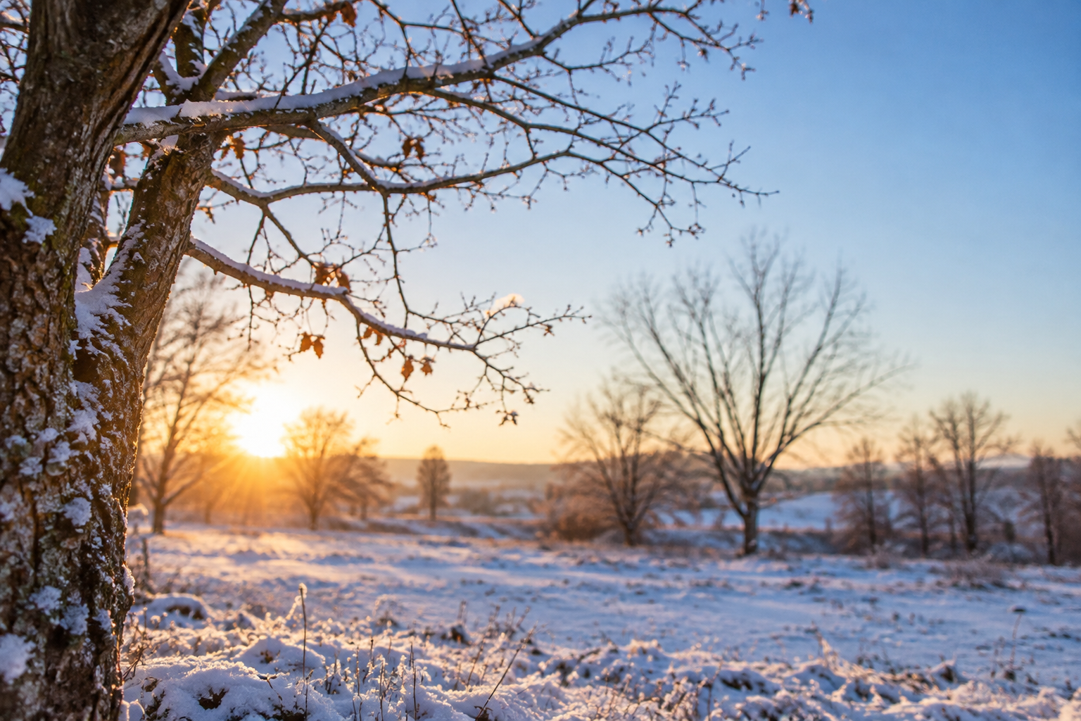 Licht als Taktgeber: Was der Körper im Winter braucht, um in Schwung zu kommen